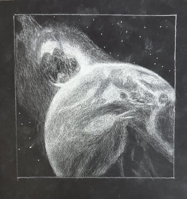 Reverse value drawing white pencil on black paper