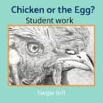 Easy Beginner Drawing Lesson Plan for Spring